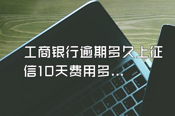 工商银行逾期多久上征信10天费用多少