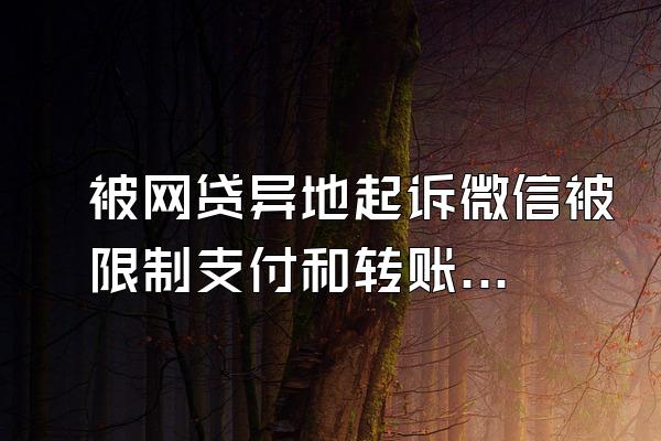 被网贷异地起诉微信被限制支付和转账怎么办