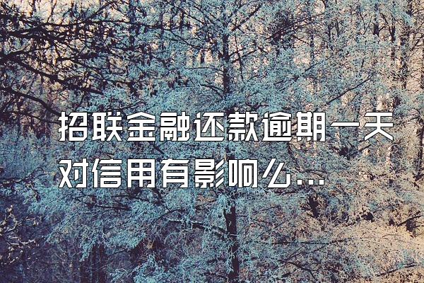招联金融还款逾期一天对信用有影响么吗