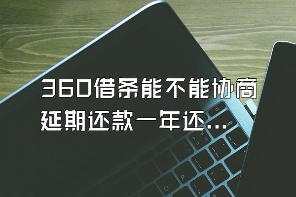 360借条能不能协商延期还款一年还一次
