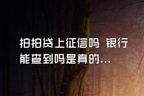 拍拍贷上征信吗 银行能查到吗是真的吗