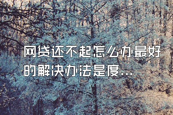 网贷还不起怎么办最好的解决办法是度小满