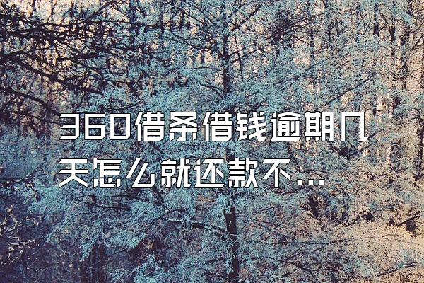 360借条借钱逾期几天怎么就还款不了呀