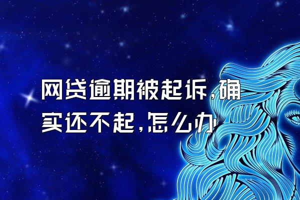 网贷逾期被起诉,确实还不起,怎么办