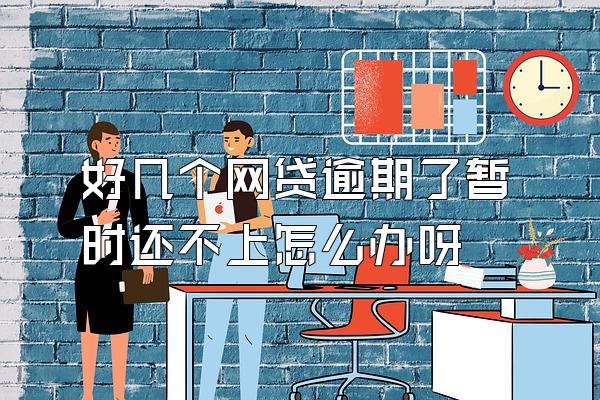 好几个网贷逾期了暂时还不上怎么办呀
