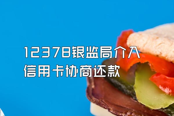 12378银监局介入信用卡协商还款