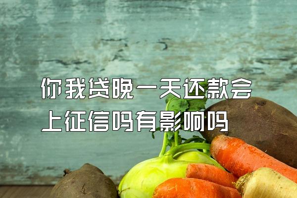 你我贷晚一天还款会上征信吗有影响吗