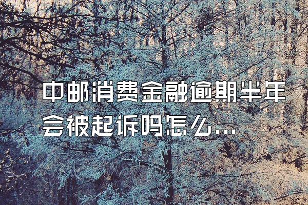 中邮消费金融逾期半年会被起诉吗怎么办啊