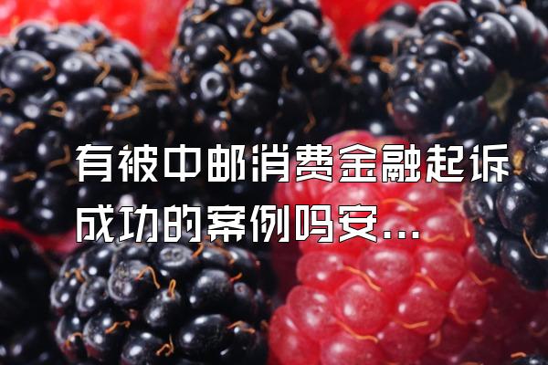 有被中邮消费金融起诉成功的案例吗安全吗