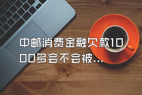 中邮消费金融欠款1000多会不会被起诉