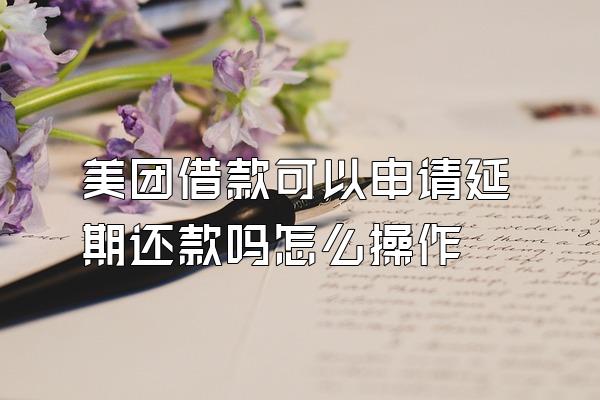 美团借款可以申请延期还款吗怎么操作