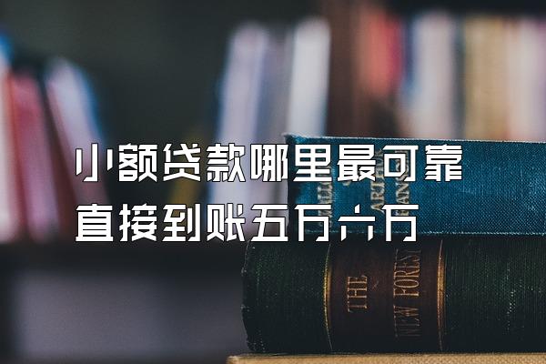 小额贷款哪里最可靠直接到账五万六万
