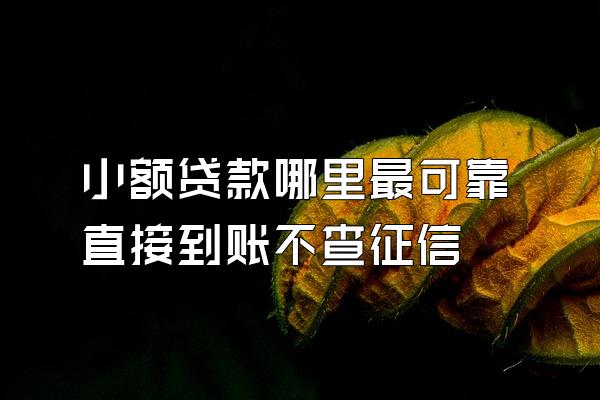 小额贷款哪里最可靠直接到账不查征信