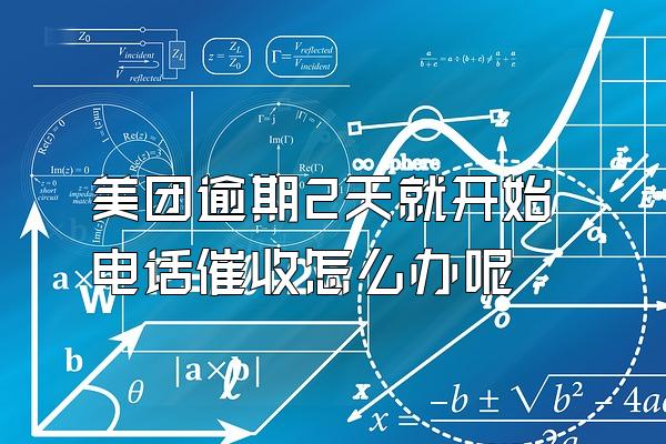 美团逾期2天就开始电话催收怎么办呢