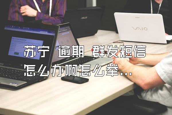 苏宁 逾期 群发短信怎么办啊怎么举报他