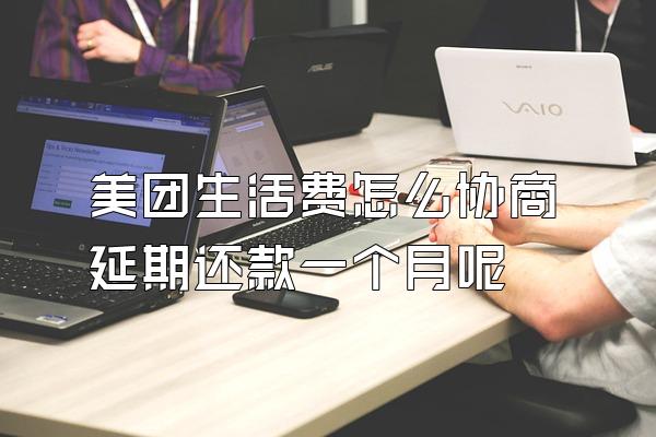 美团生活费怎么协商延期还款一个月呢