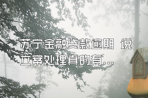 苏宁金融贷款逾期 说立案处理真的有用吗