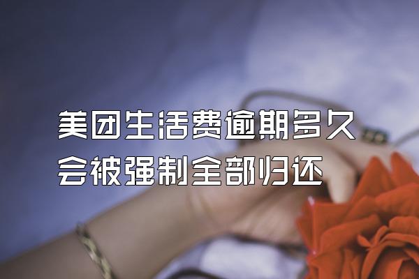美团生活费逾期多久会被强制全部归还