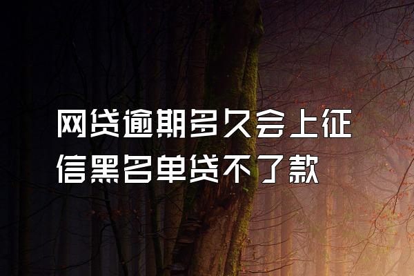 网贷逾期多久会上征信黑名单贷不了款