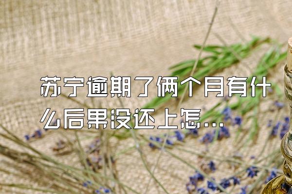 苏宁逾期了俩个月有什么后果没还上怎么办