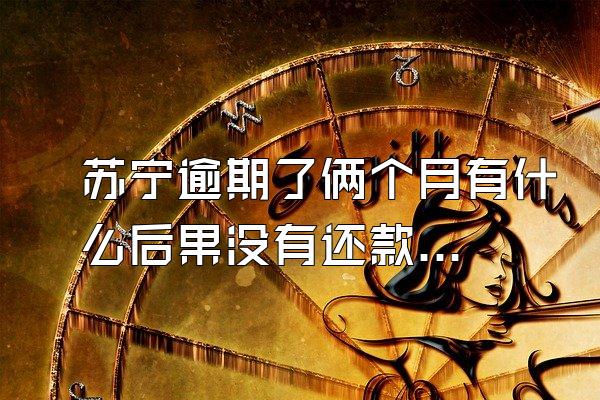 苏宁逾期了俩个月有什么后果没有还款记录
