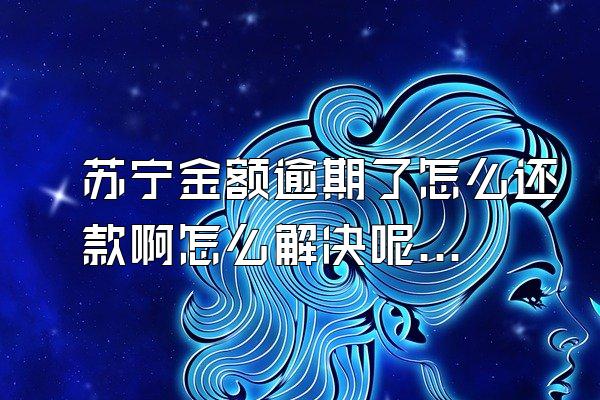 苏宁金额逾期了怎么还款啊怎么解决呢图片