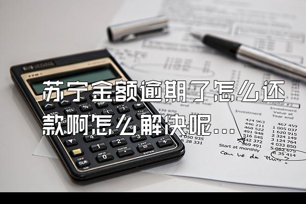 苏宁金额逾期了怎么还款啊怎么解决呢视频