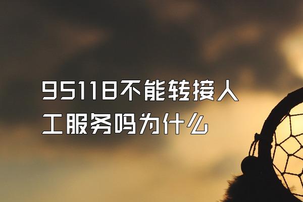 95118不能转接人工服务吗为什么