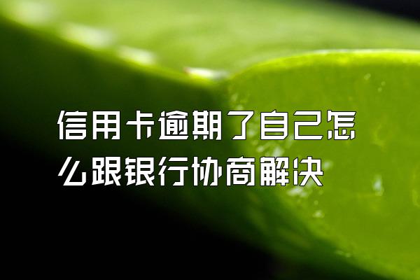 信用卡逾期了自己怎么跟银行协商解决