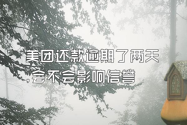 美团还款逾期了两天,会不会影响信誉