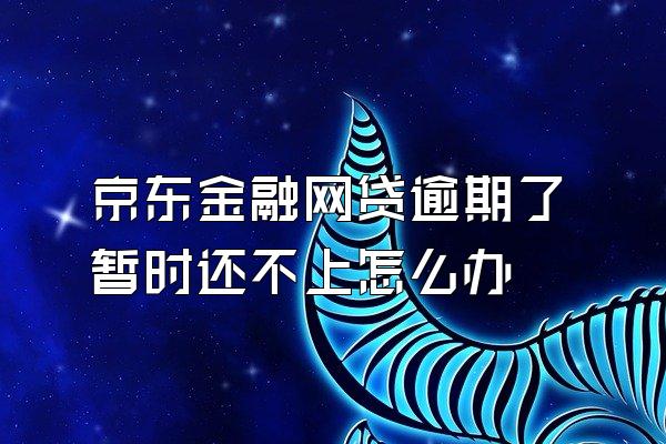 京东金融网贷逾期了暂时还不上怎么办