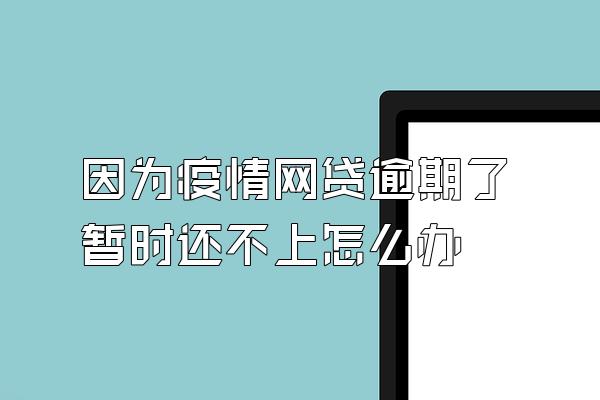 因为疫情网贷逾期了暂时还不上怎么办