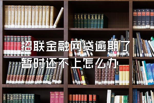 招联金融网贷逾期了暂时还不上怎么办