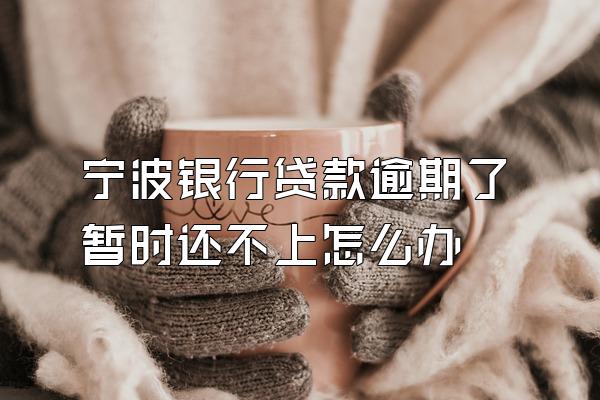 宁波银行贷款逾期了暂时还不上怎么办