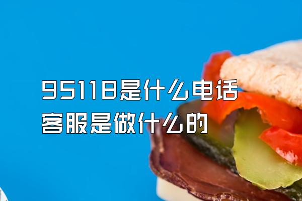 95118是什么电话客服是做什么的