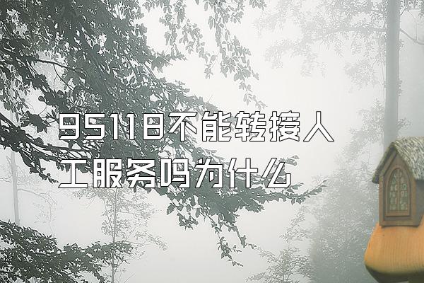 95118不能转接人工服务吗为什么
