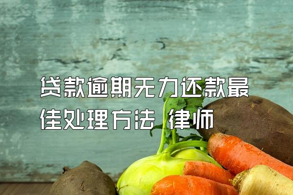 贷款逾期无力还款最佳处理方法 律师