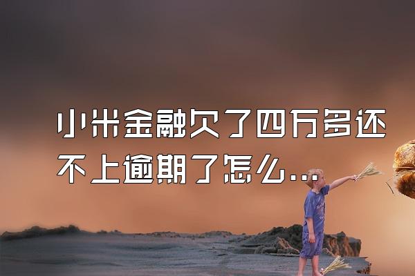 小米金融欠了四万多还不上逾期了怎么协商