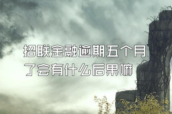 招联金融逾期五个月了会有什么后果嘛