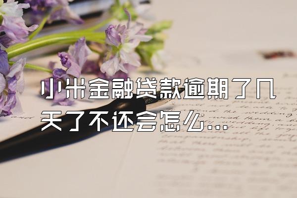 小米金融贷款逾期了几天了不还会怎么样吗