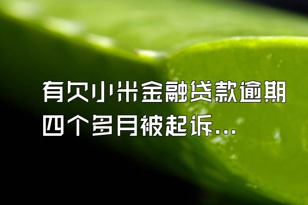有欠小米金融贷款逾期四个多月被起诉的吗
