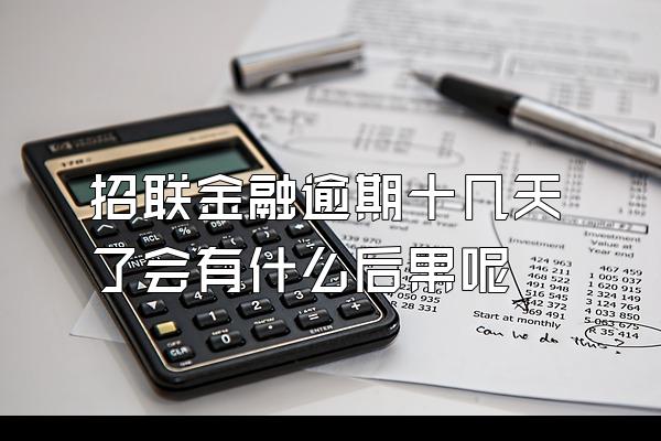 招联金融逾期十几天了会有什么后果呢