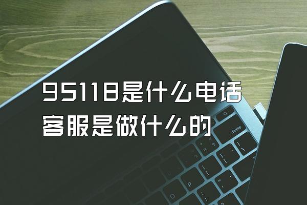 95118是什么电话客服是做什么的