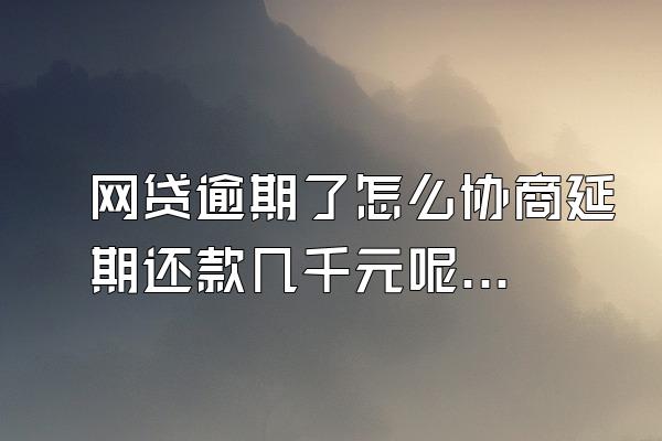 网贷逾期了怎么协商延期还款几千元呢视频