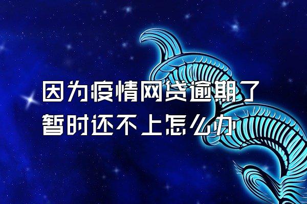 因为疫情网贷逾期了暂时还不上怎么办