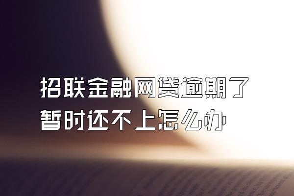 招联金融网贷逾期了暂时还不上怎么办