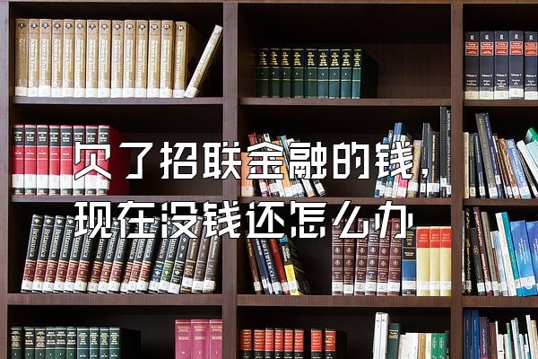 欠了招联金融的钱,现在没钱还怎么办