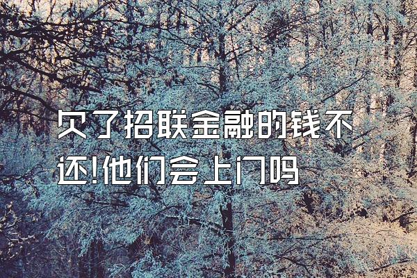 欠了招联金融的钱不还!他们会上门吗
