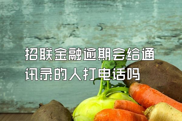 招联金融逾期会给通讯录的人打电话吗
