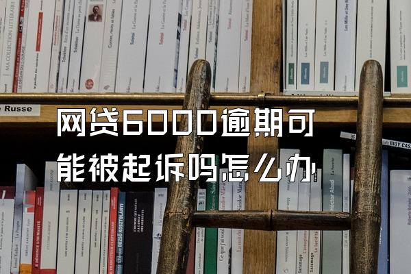 网贷6000逾期可能被起诉吗怎么办